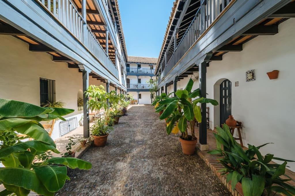 New Apartment In Traditional Building Of The XVI Century Sevilla Kültér fotó